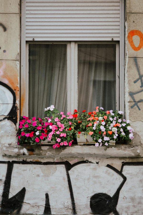 Dépannage rideau métallique : réparez vos pannes en un clin d'œil